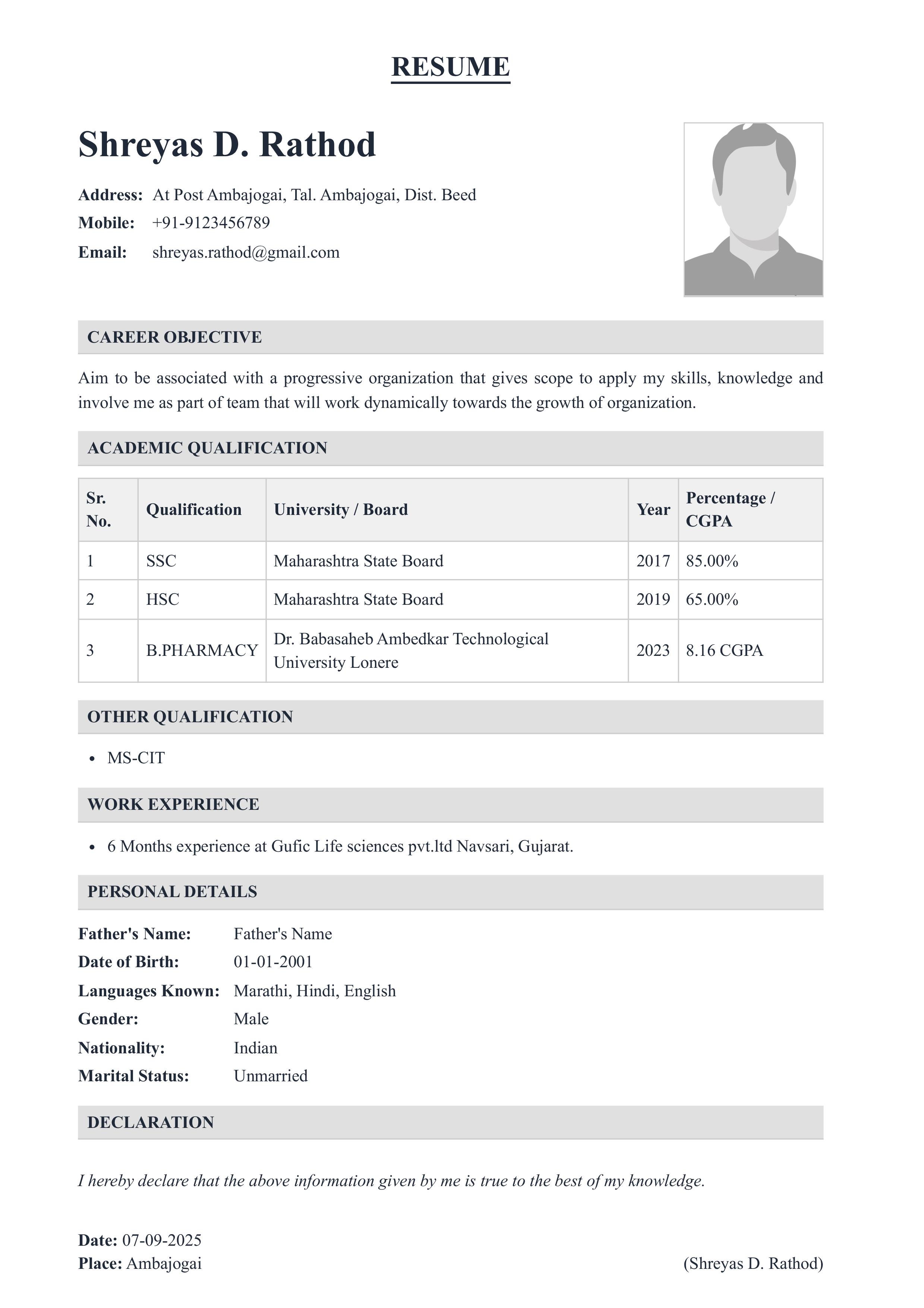 Resume 3 Screenshot